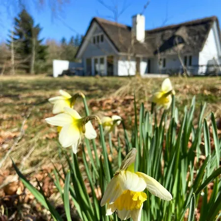 Casa de Férias Thatched Hideaway At Svinklov Forest Edge *